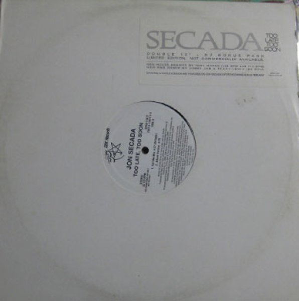 画像1: Jon Secada / Too Late Too Soon - W-Pac Promo - － The Recommendable Item － (1)