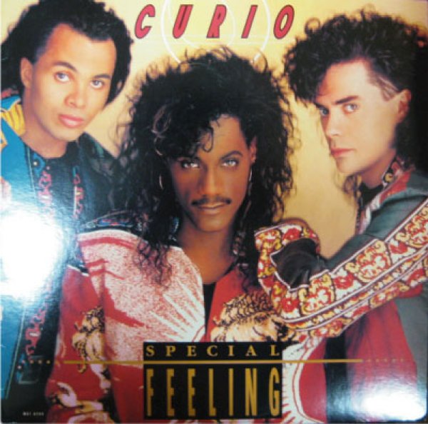 画像1: Curio / Special Feeling - LP - (1)