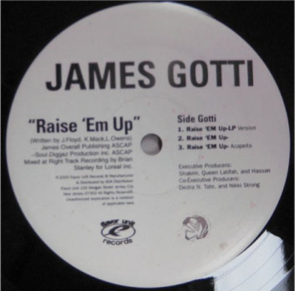 画像1: James Gotti / How Could You cw Raise Em Up - US Promo Only !!!!!!!!!!!!!!!!!!!!! - (1)