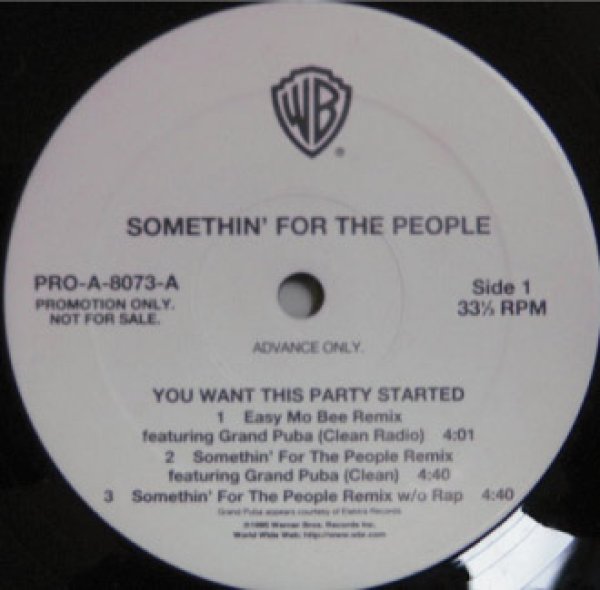 画像1: Somethin' For The People / You Want This Party Started　- Promo Only - (1)