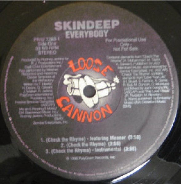 画像1: Skin deep / Everybody - US Promo Only Remix!!! -  (1)