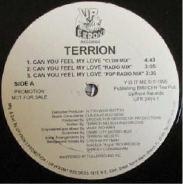 画像1: Terrion / Can You Feel My Love (1)