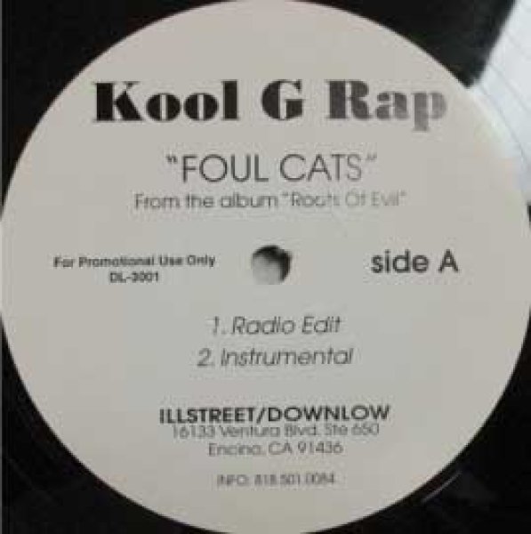 画像1: Kool G Rap / Foul Cats - US Promo Only - (1)