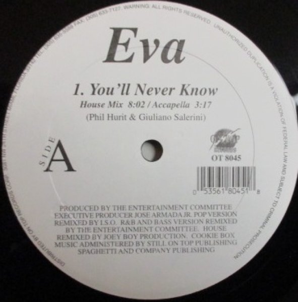 画像1: EVA / You'll Never Know  - Hi Gross's Cover !!!!!  - (1)