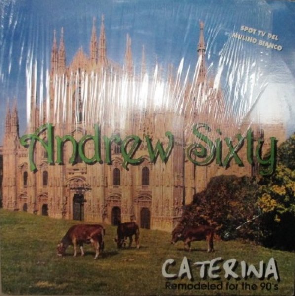 画像1: Andrew Sixty / Catarina (1)