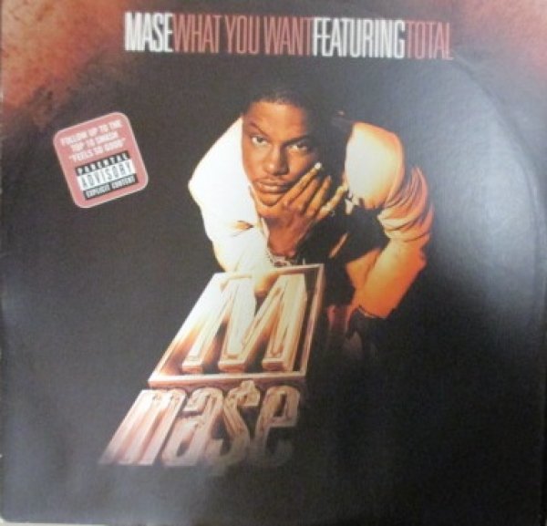 画像1: Mase / What You Want ft Total - Remixes - (1)