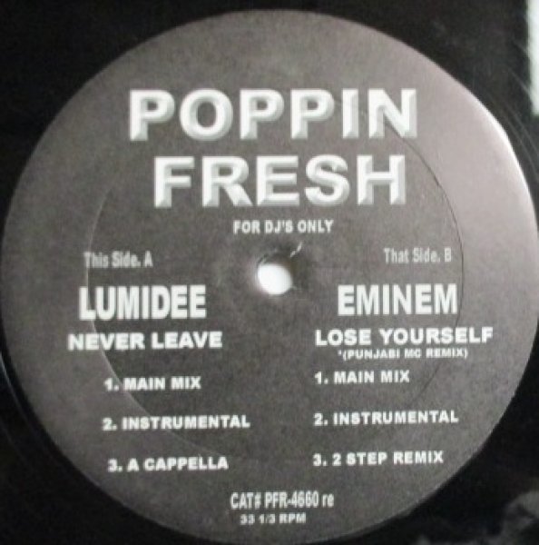 画像1: Eminem / Lose Yourself - Panjabi MC Remix - cw Lumidee - Never Leave - Poppin Freash (1)