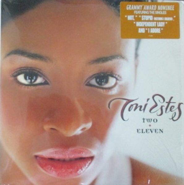 画像1: Toni Estes / Tow Eleven - LP -  (1)