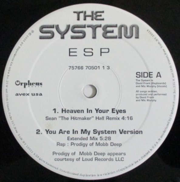 画像1: The System / Heaven In Your  Eyes cw You Are In My System  (1)