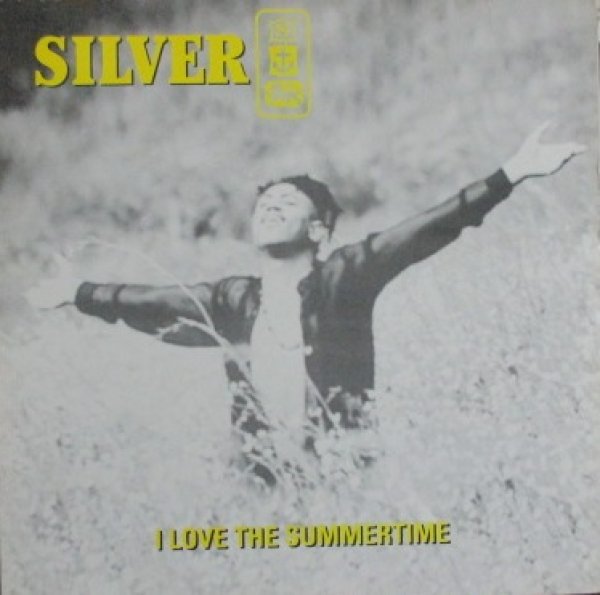 画像1: Silver / I Love The Summer Time (1)