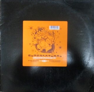 芸能人愛用 ECUTIONERS X BUILT LP レコード SCRATCH FROM 洋楽 - www