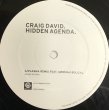 画像1: Craig David / Hidden Agenda  (1)