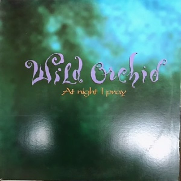 画像1: Wild Orchid / At Night I Play (1)