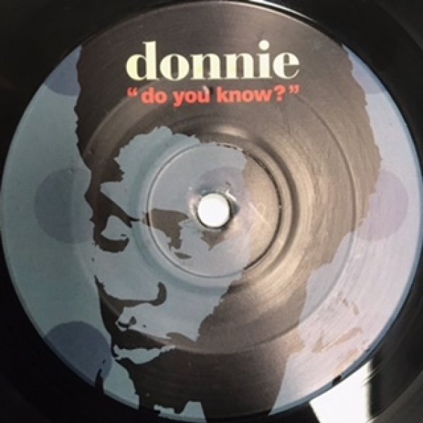 画像1: Donnie / Do You Know  - The Recommandable 7 Inch - (1)