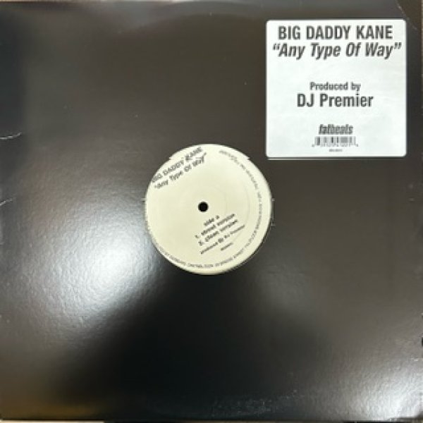 画像1: Big Daddy Kane / Any Type Of Way - DJ Premier Work - (1)