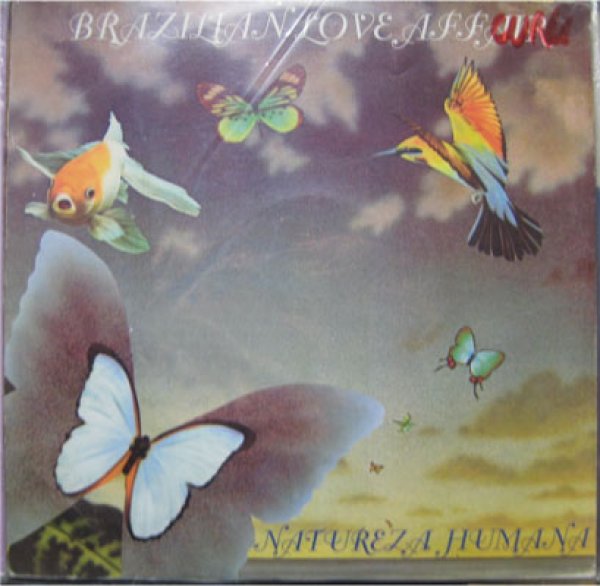 画像1: Brazilian Love Afair / Natureza Human - Rare Groundbeat Cover - (1)